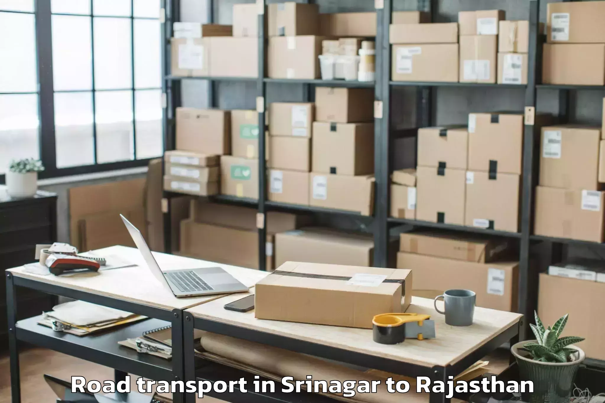 Book Srinagar to Dungarpur Road Transport Online